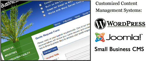 Custom Content Management Systems